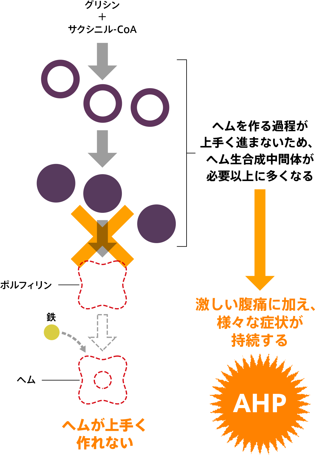ヘムを作る過程で必要な酵素の遺伝子に変異がある場合のイメージ